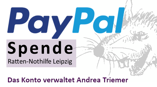 paypal andrea